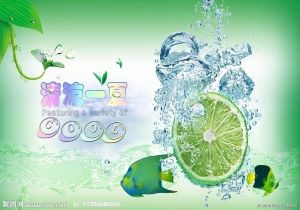 灰熊队快速反击打破对手防线赢球