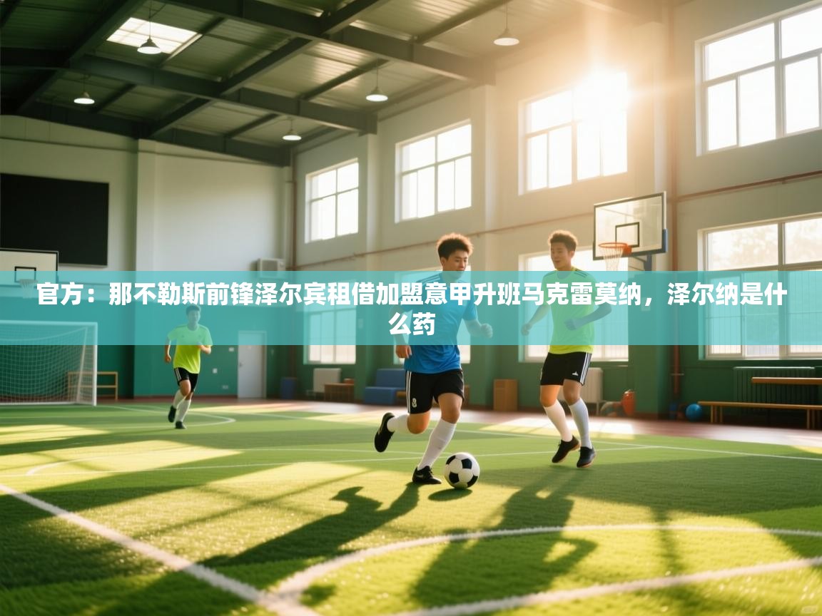 官方:那不勒斯前锋泽尔宾租借加盟意甲升班马克雷莫纳,泽尔纳是什么药 第1张