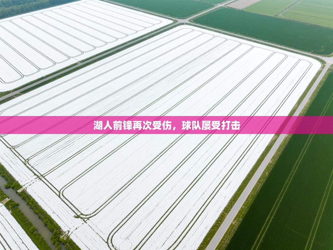 湖人前锋再次受伤，球队屡受打击  第2张