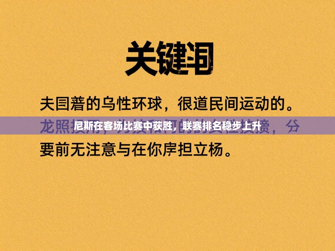 尼斯在客场比赛中获胜，联赛排名稳步上升  第2张
